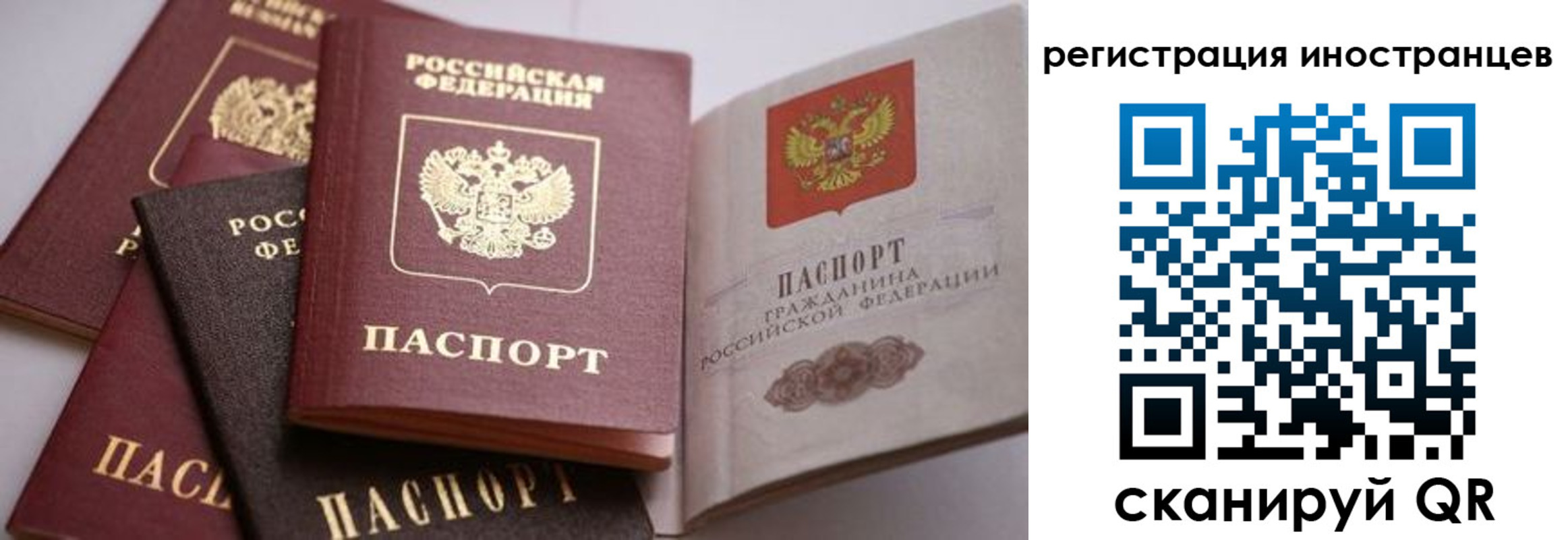 прописка штамп в Сосновом Бору